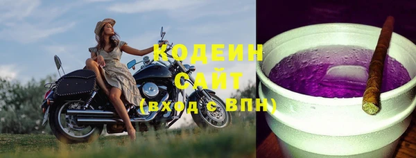 хмурый Лиски