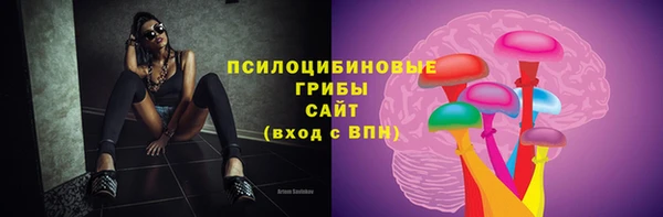 хмурый Лиски