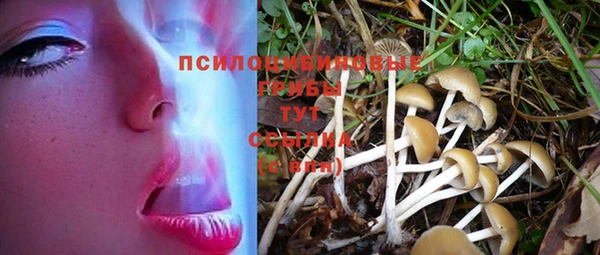гидропоника Лагань