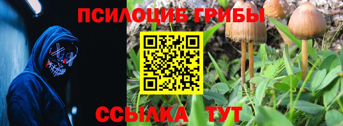 Псилоцибиновые грибы Psilocybe  Вход с VPN  Маркс 