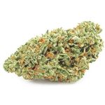 Шишки OG Kush  (Гидропоника, бошки) VHQ в Марксе